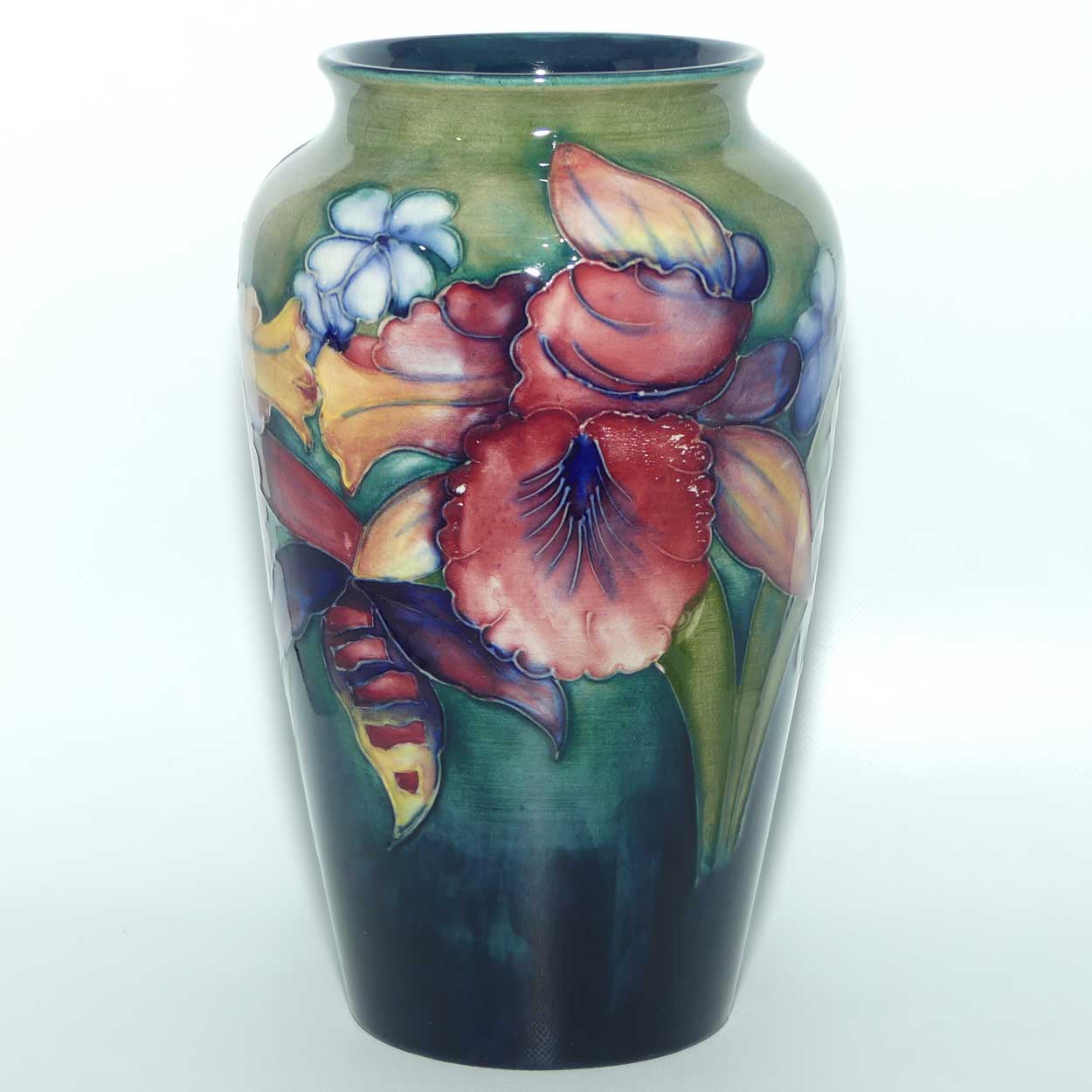 Walter Moorcroft Orchid on Light Green transition to Blue Ground vase | 21cm