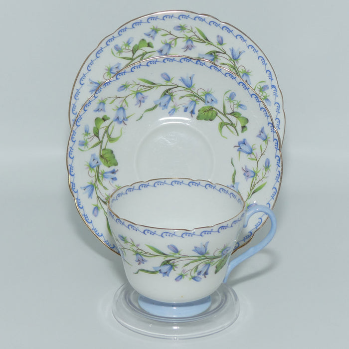 Shelley Richmond shape Harebell pattern trio | Gilt Trim