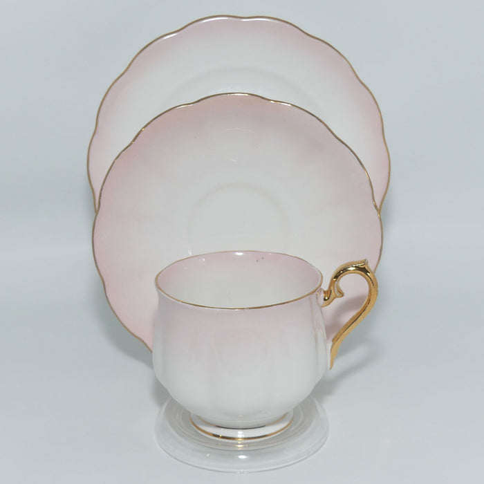 Royal Albert Bone China | Rainbow Series | Pale Pink and Gilt trio | #2