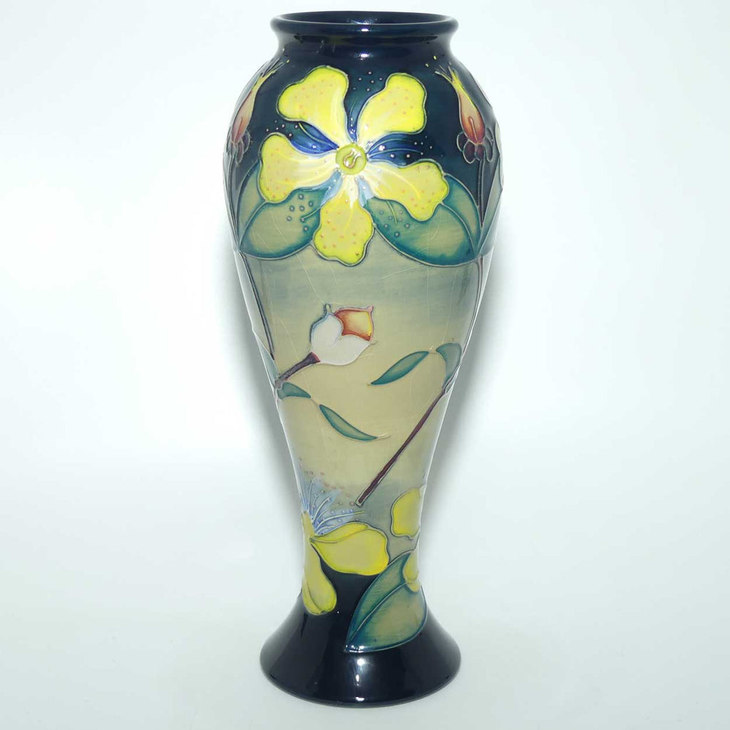 Moorcroft Hypericum 75/11 vase