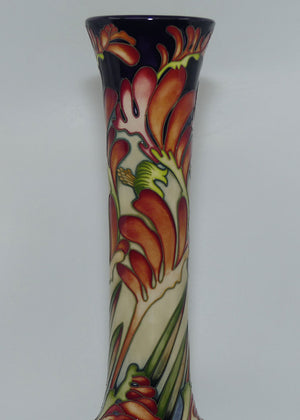 Moorcroft Pottery | Kangaroo Paw vase 99/15 (Num Ed) | Australian Exclusive