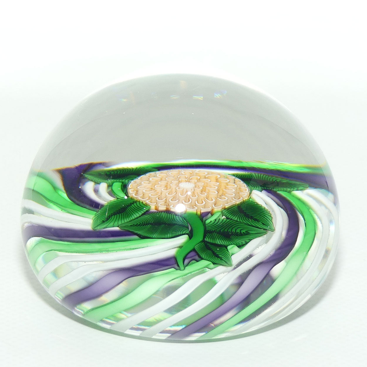 John Deacons Scotland Lampwork Pompom on Swirl Magnum Paperweight