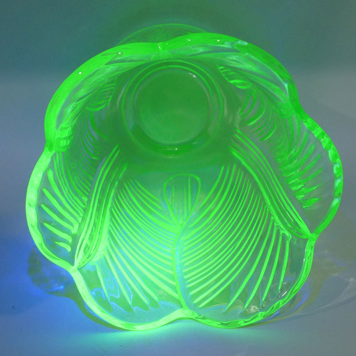 Bagley Glass UK Uranium Glass Tulip motif vase | 20cm tall
