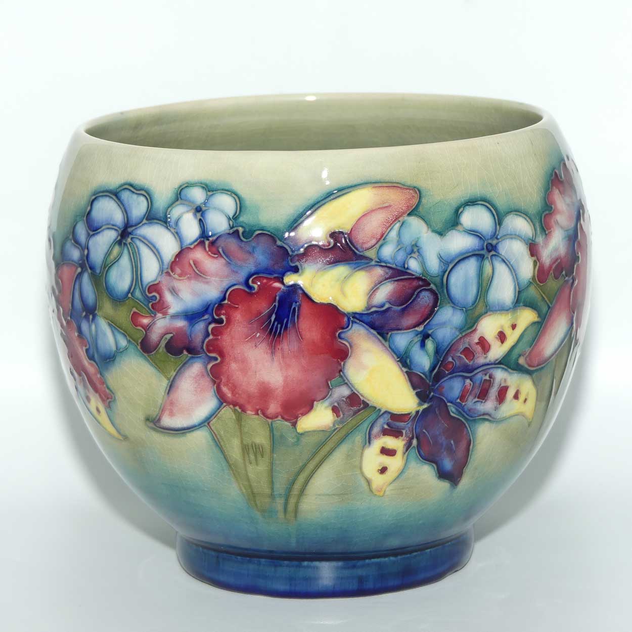 Walter Moorcroft Orchid on Light Green transition to Blue Ground Fern Pot