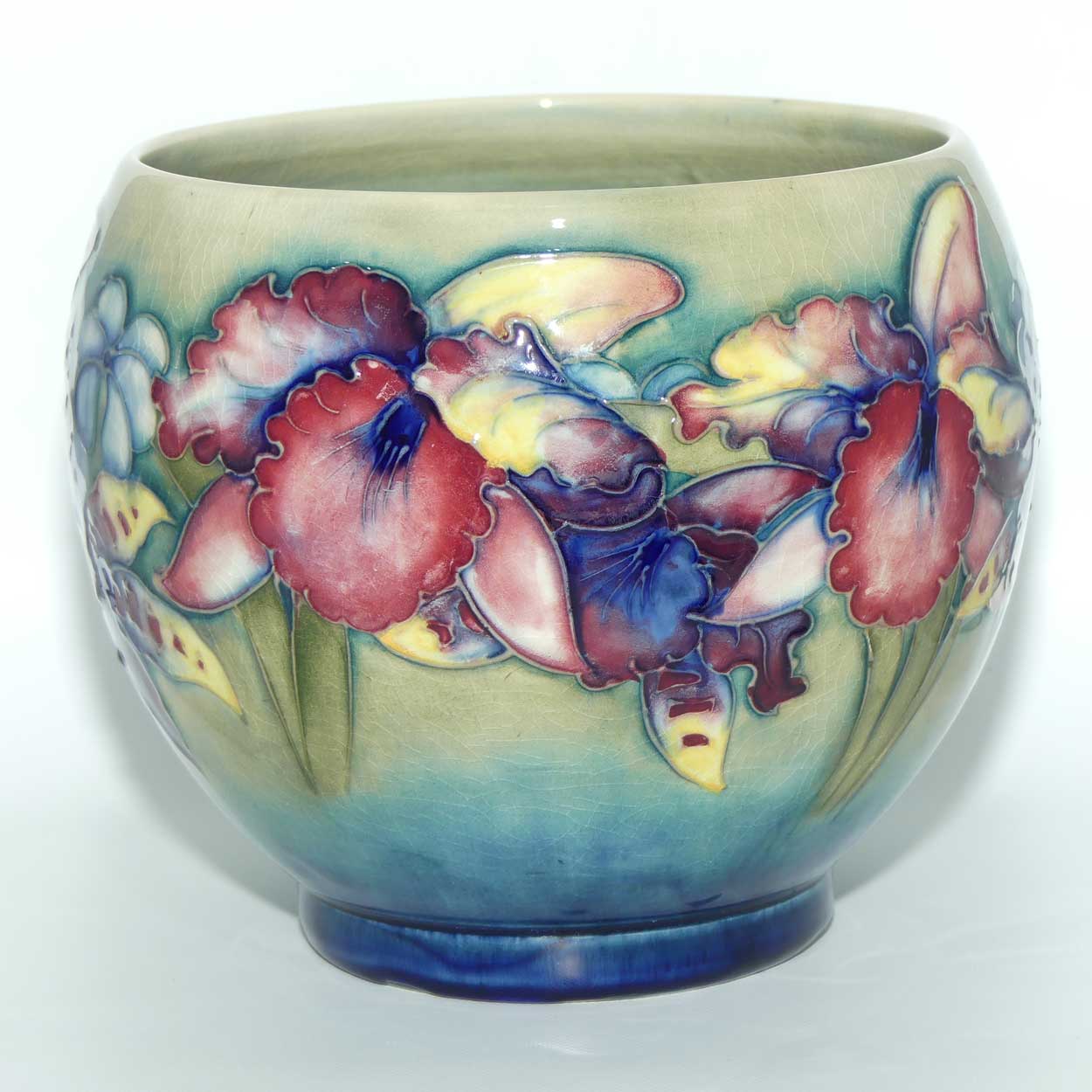 Walter Moorcroft Orchid on Light Green transition to Blue Ground Fern Pot