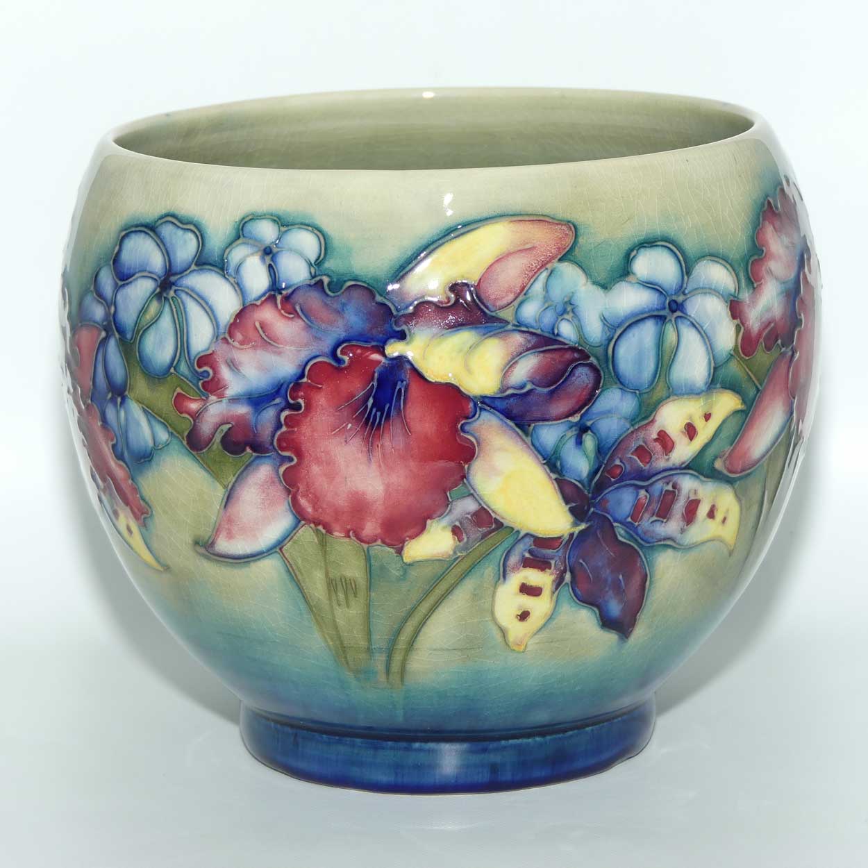 Walter Moorcroft Orchid on Light Green transition to Blue Ground Fern Pot