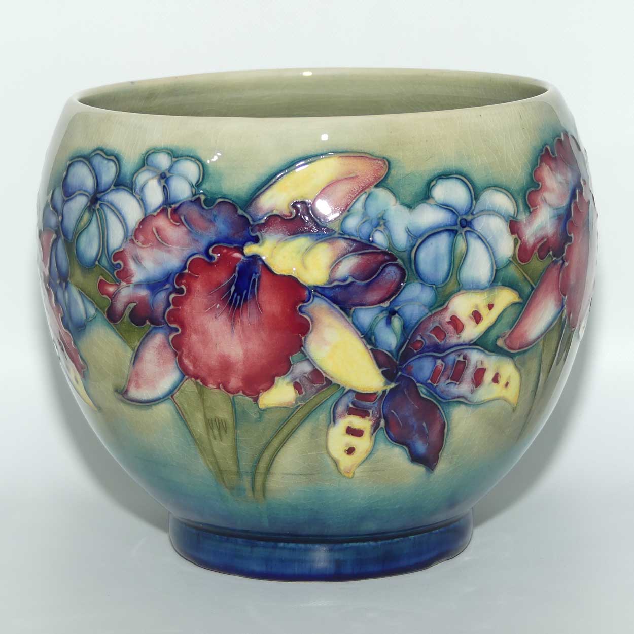 Walter Moorcroft Orchid on Light Green transition to Blue Ground Fern Pot