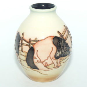 Moorcroft Limousin Pigs 3/5 vase | LE 17/50