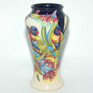 Moorcroft Rainbow Lorikeets 95/10 vase | LE 17/40