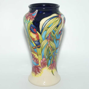 Moorcroft Rainbow Lorikeets 95/10 vase | LE 17/40