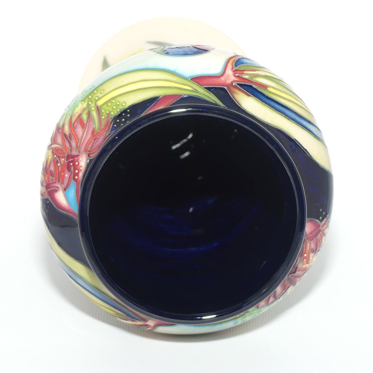 Moorcroft Rainbow Lorikeets 95/10 vase | LE 17/40