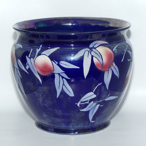 Shelley Jardiniere | Japanese Fruit Lustre | 8677