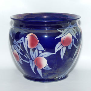 Shelley Jardiniere | Japanese Fruit Lustre | 8677