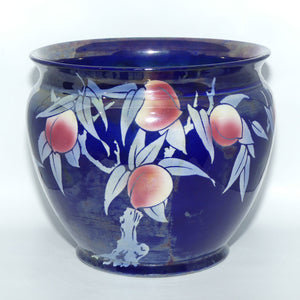 Shelley Jardiniere | Japanese Fruit Lustre | 8677