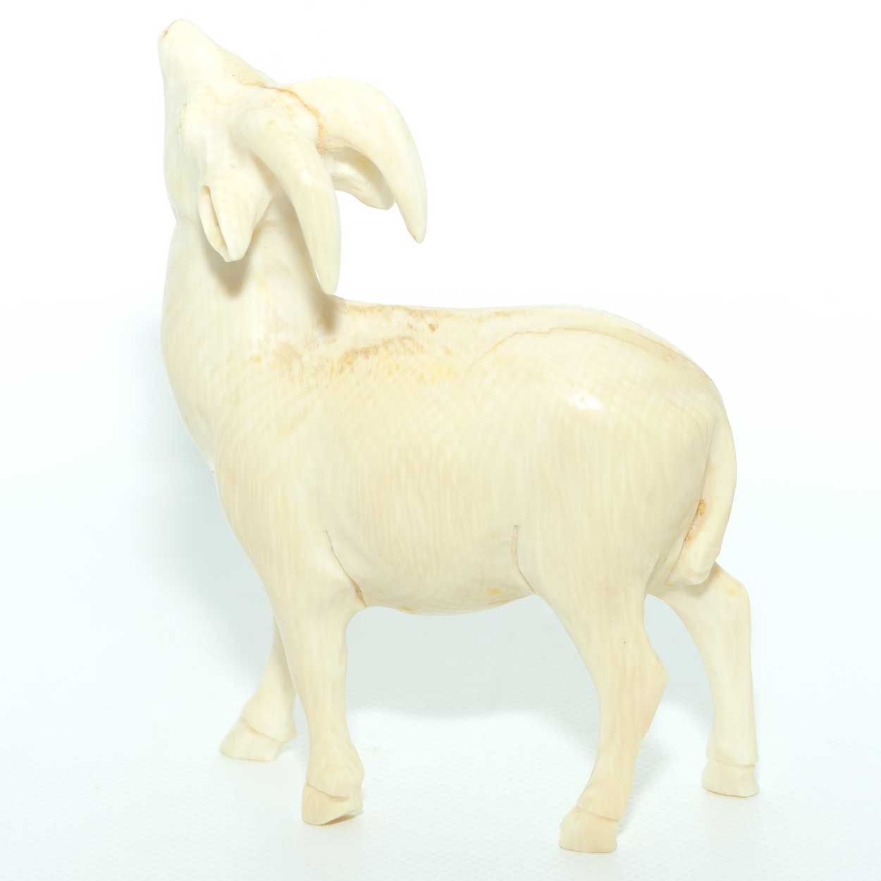 Carved Ivory Figure of a Ram