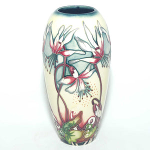 Moorcroft Minuet 101/7 vase