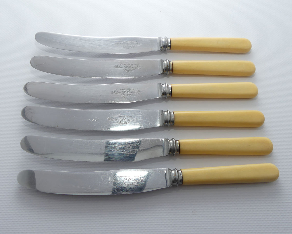Set of 6 Robert Mosely Sheffield Rusnorstain | Faux Bone Handle Knives | 23.5cm