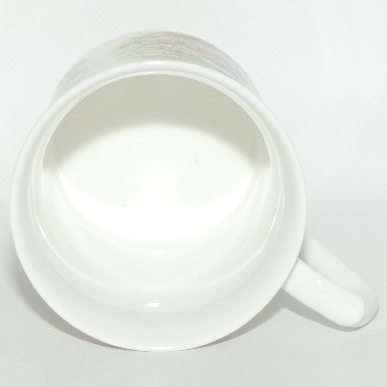 Queens Churchill China The World of Beatrix Potter Mrs Tiggy Winkle mug