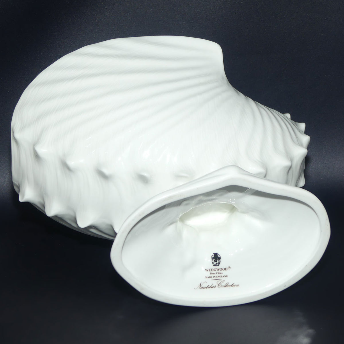 Wedgwood Bone China | Nautilus Collection | large Nautilus Shell Centrepiece and underplate