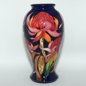 Moorcroft New World Waratah 46/10 vase | LE 125/150