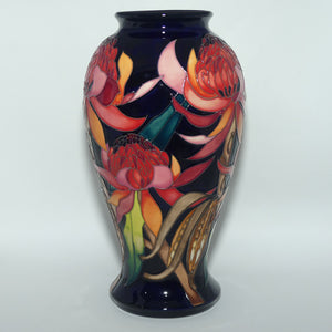 Moorcroft New World Waratah 46/10 vase | LE 130/150