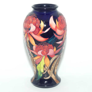 Moorcroft New World Waratah 46/10 vase | LE 130/150