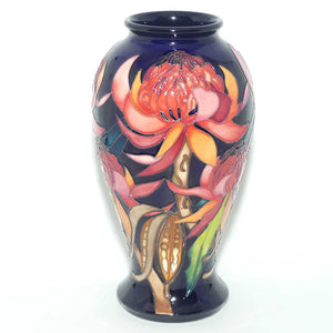 Moorcroft New World Waratah 46/10 vase | LE 130/150