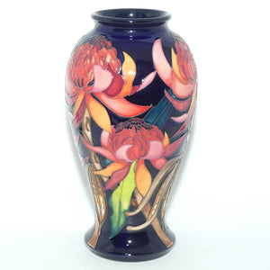 Moorcroft New World Waratah 46/10 vase | LE 130/150