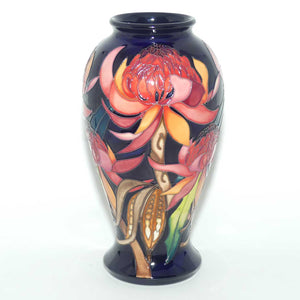 Moorcroft New World Waratah 46/10 vase | LE 130/150