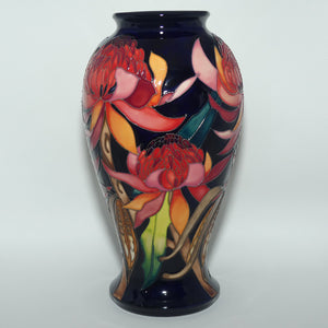 Moorcroft New World Waratah 46/10 vase | LE 130/150