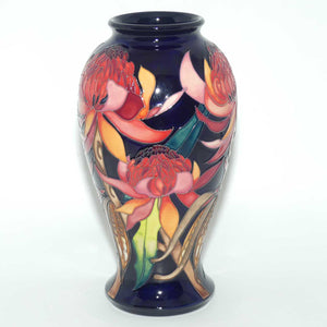 Moorcroft New World Waratah 46/10 vase | LE 130/150