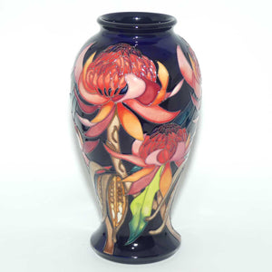 Moorcroft New World Waratah 46/10 vase | LE 130/150