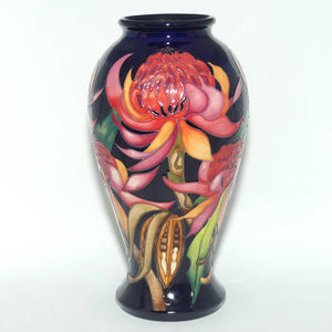 Moorcroft New World Waratah 46/10 vase | LE 149/150