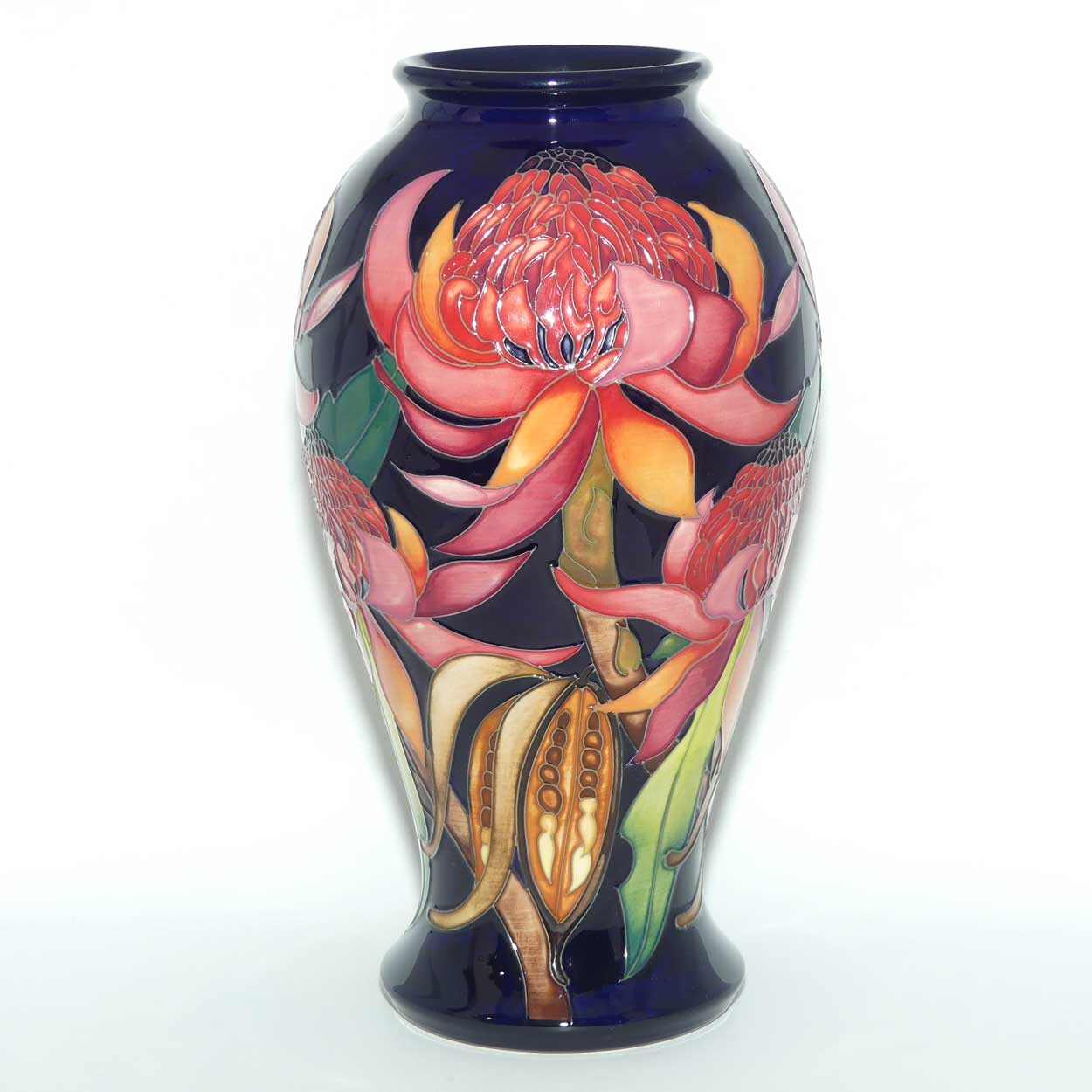 Moorcroft New World Waratah 46/10 vase | LE 73/150