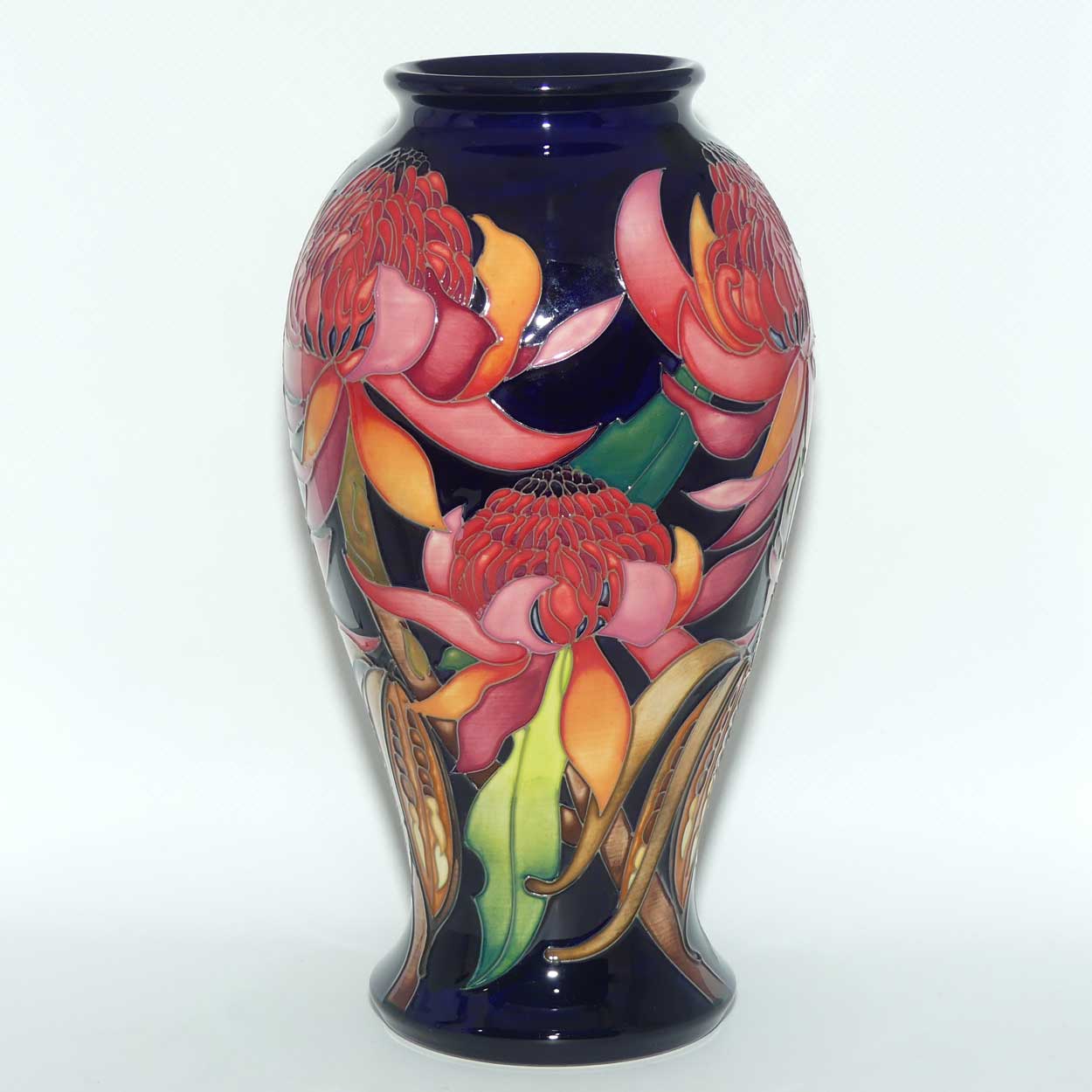 Moorcroft New World Waratah 46/10 vase | LE 73/150