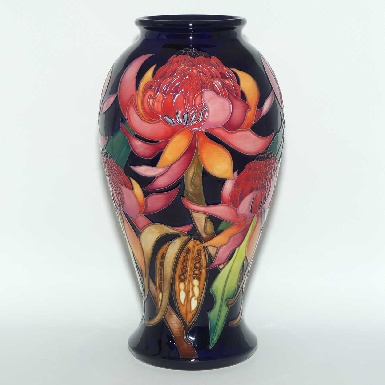 Moorcroft New World Waratah 46/10 vase | LE 73/150