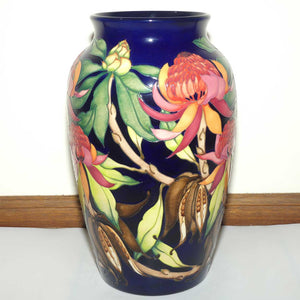 Moorcroft New World Waratah PRESTIGE vase | Shape 18/16 | Trial