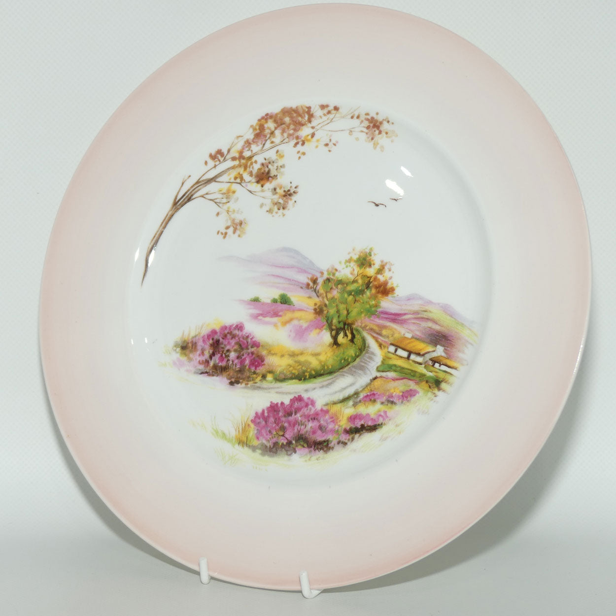 Shelley England Old Ireland plate | Pink border | Round