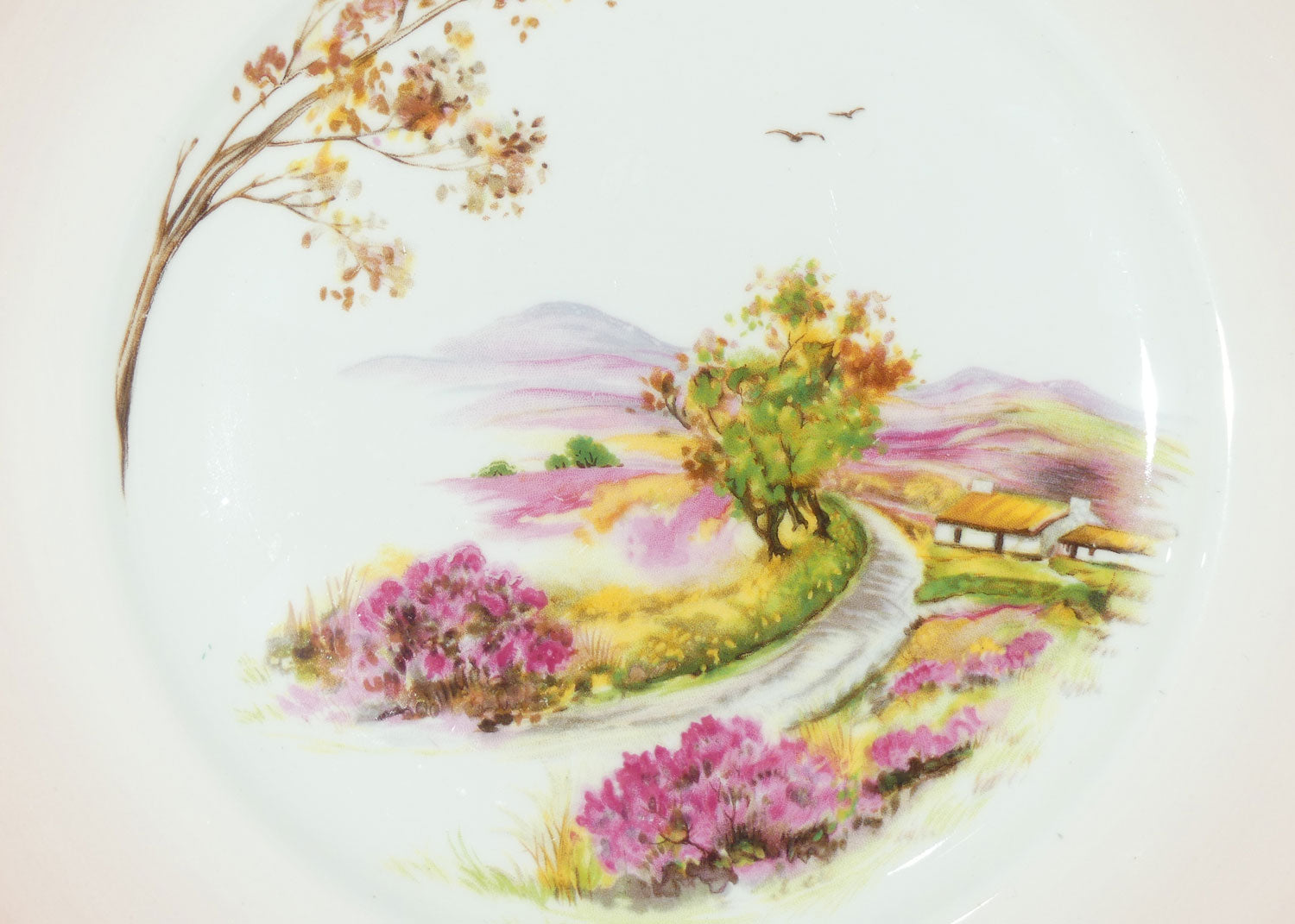 Shelley England Old Ireland plate | Pink border | Round