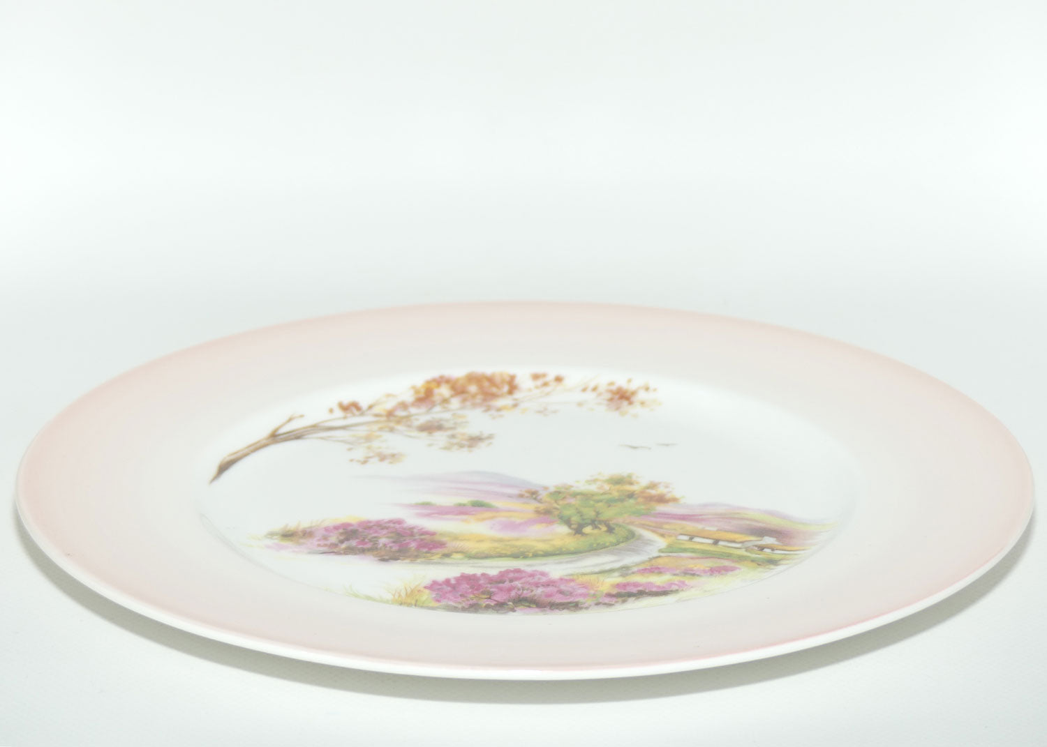 Shelley England Old Ireland plate | Pink border | Round