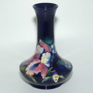 Walter Moorcroft Orchid (Blue) 62/8 vase