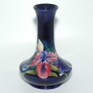 Walter Moorcroft Orchid (Blue) 62/8 vase