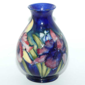 Walter Moorcroft Orchid on Blue Ground 7/7 vase