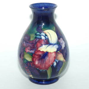 Walter Moorcroft Orchid on Blue Ground vase | Shape 7/9