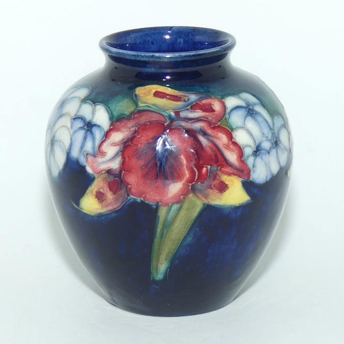 Walter Moorcroft Orchid on Blue Ground small bulbous vase #1