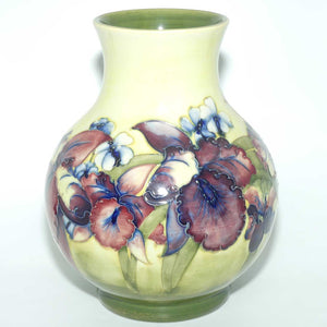 Walter Moorcroft Orchid (Yellow) 869/9 vase