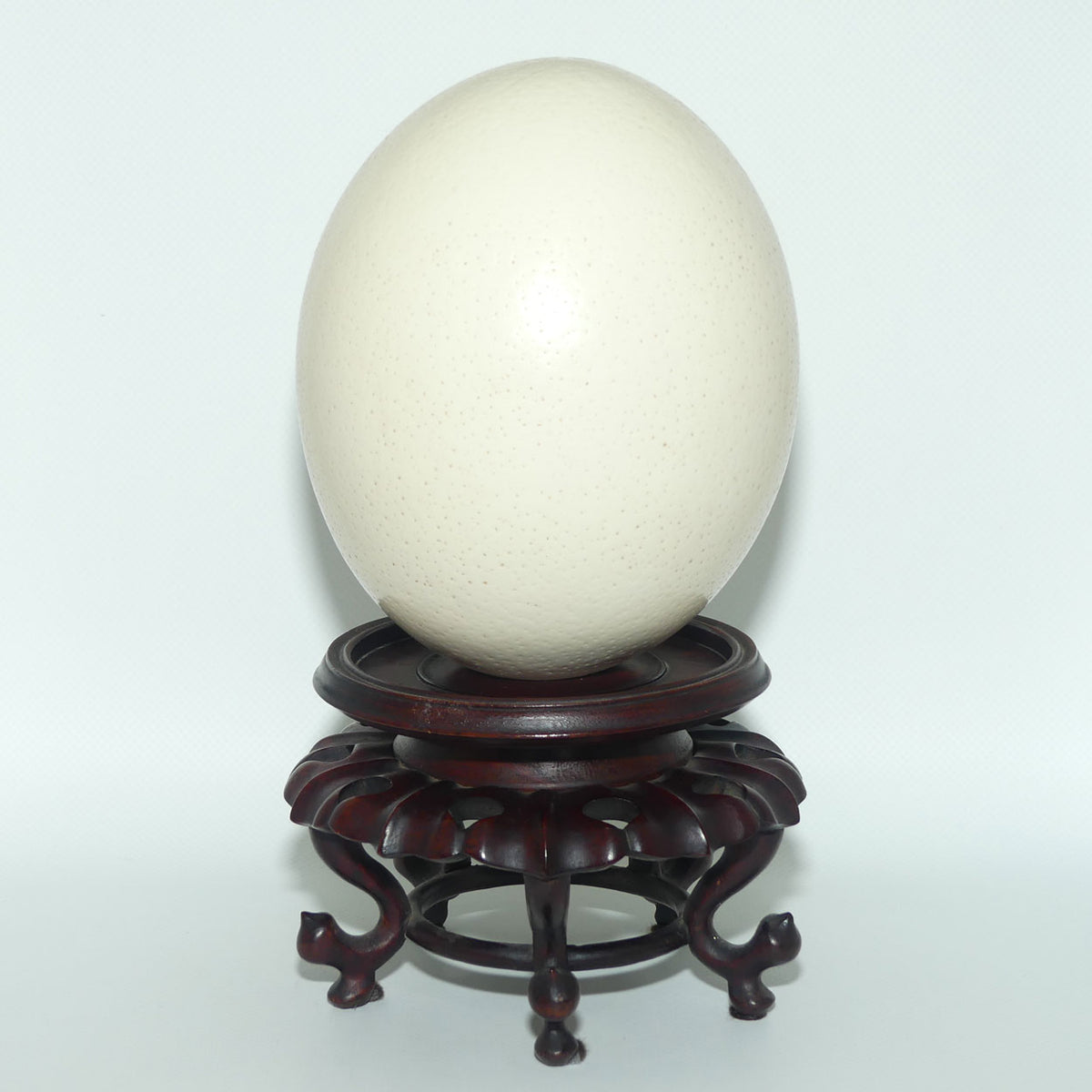 Antique Blown Ostrich Egg on fine Quality Rosewood stand