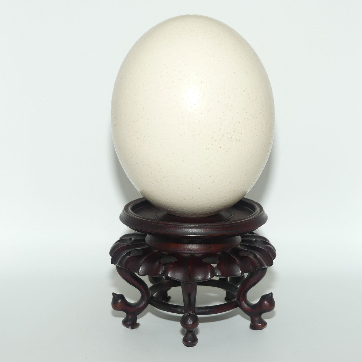Antique Blown Ostrich Egg on fine Quality Rosewood stand