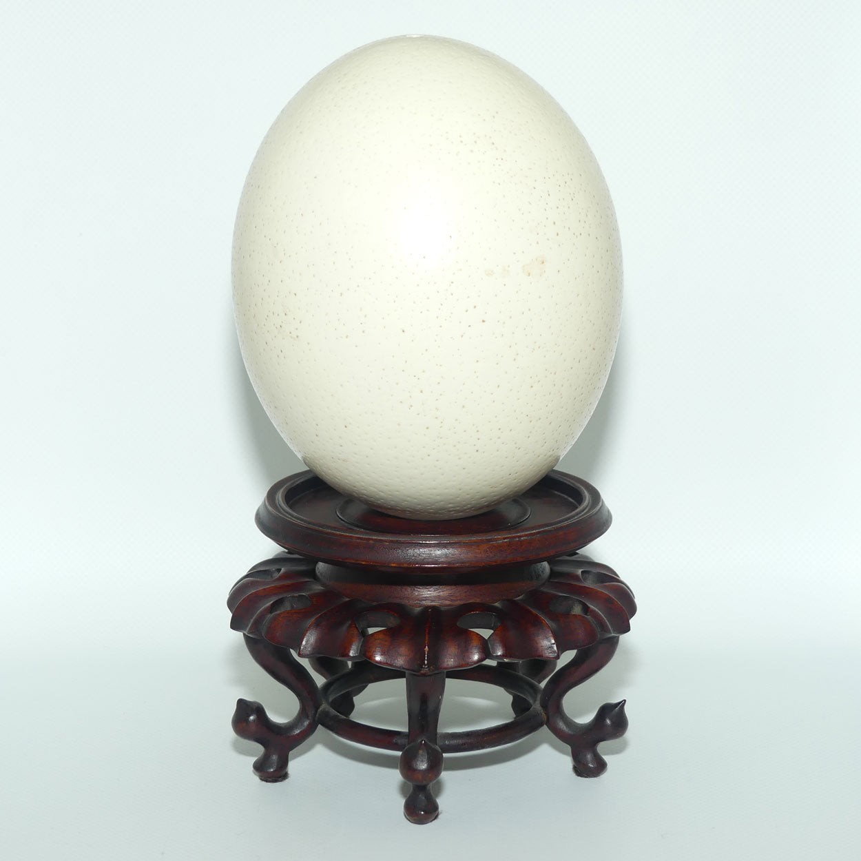 Antique Blown Ostrich Egg on fine Quality Rosewood stand
