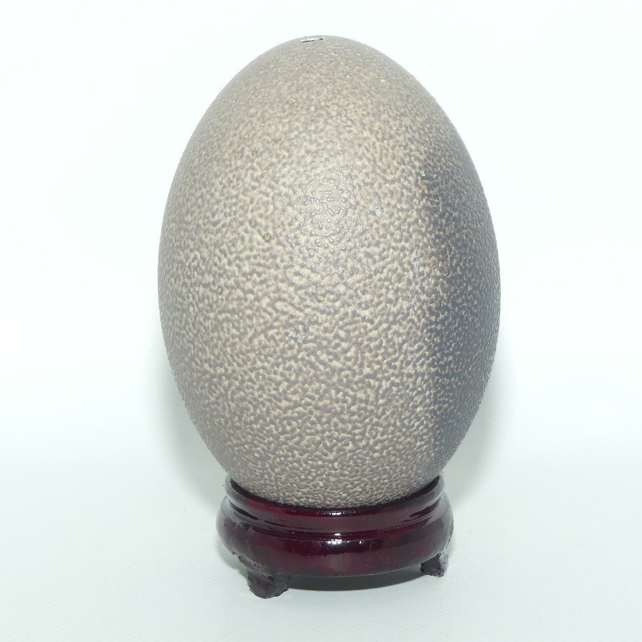 Vintage Blown Emu Egg on small Rosewood stand